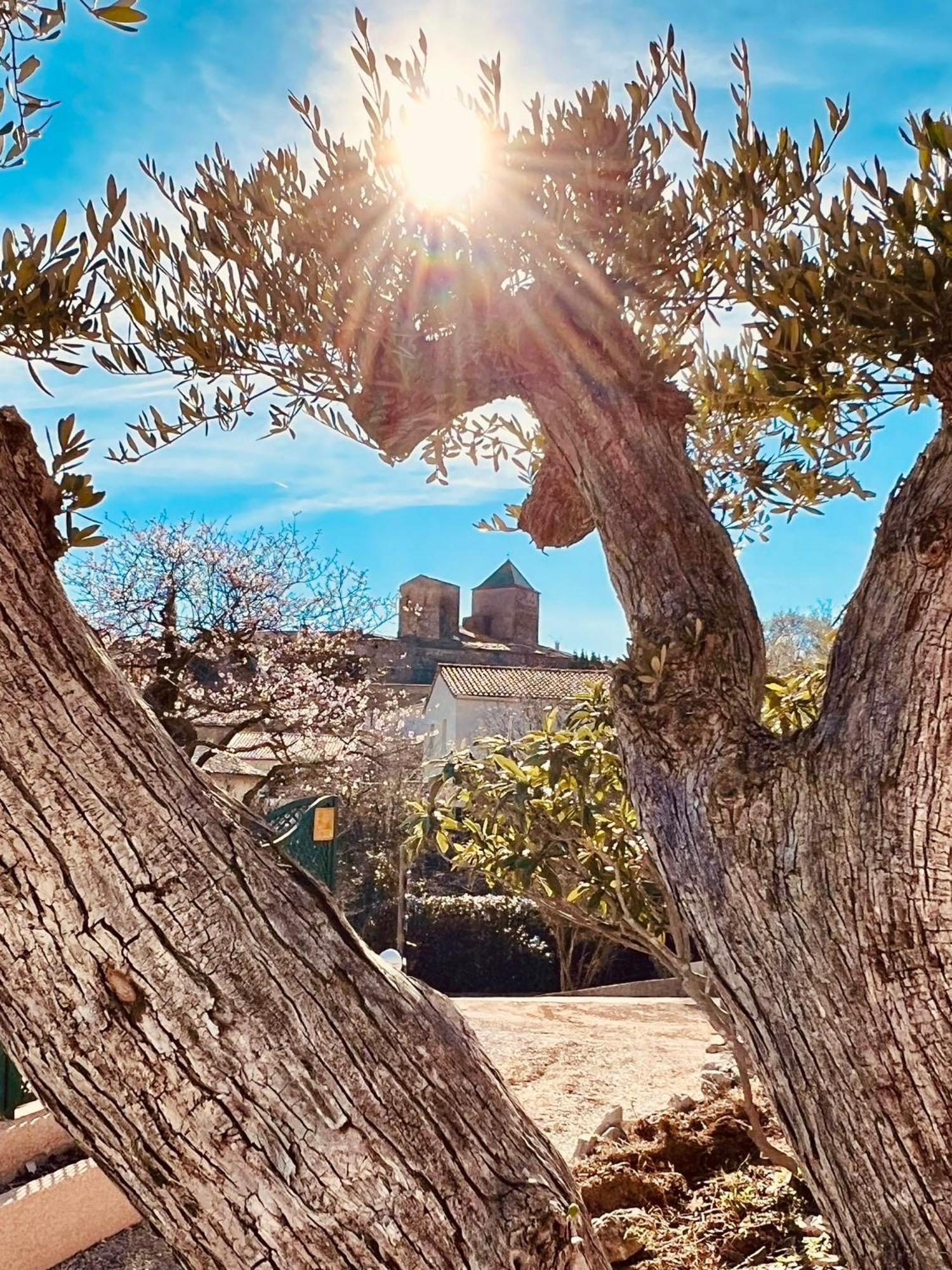 Melisande Au Pays Des Orjouliers Saint-Jean-de-Fos Екстериор снимка